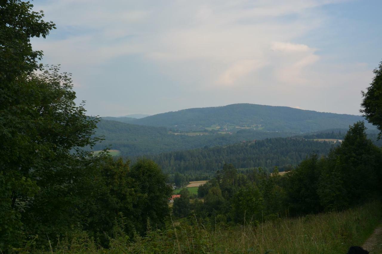 Willa u Rzepki Kurow  Zewnętrze zdjęcie