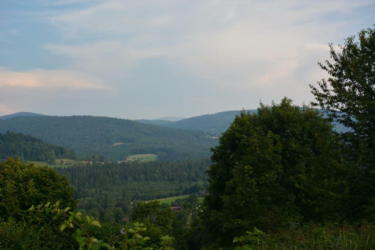 Willa u Rzepki Kurow  Zewnętrze zdjęcie